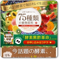 �y�f���|�v��